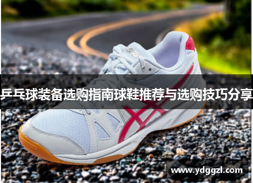 乒乓球装备选购指南球鞋推荐与选购技巧分享