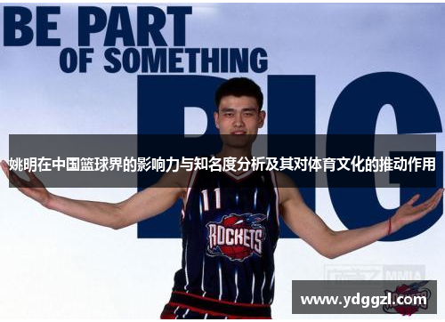 姚明在中国篮球界的影响力与知名度分析及其对体育文化的推动作用