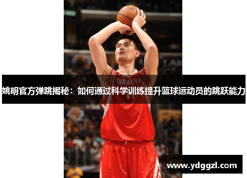 姚明官方弹跳揭秘：如何通过科学训练提升篮球运动员的跳跃能力