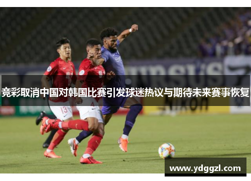竞彩取消中国对韩国比赛引发球迷热议与期待未来赛事恢复