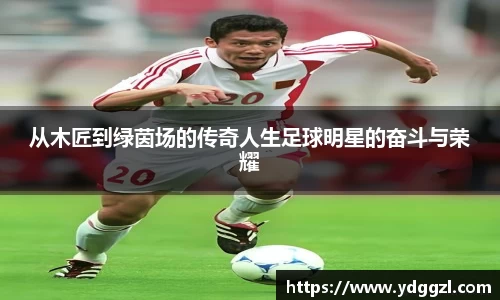 星空·综合体育官方网站